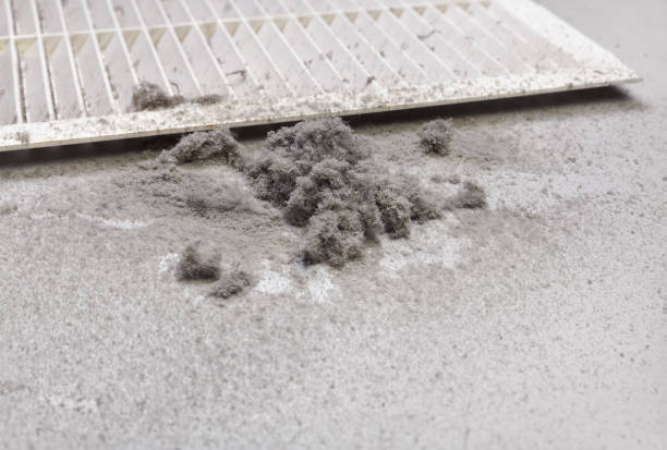 Best Ventilation Cleaning Services  in Shannon, MS