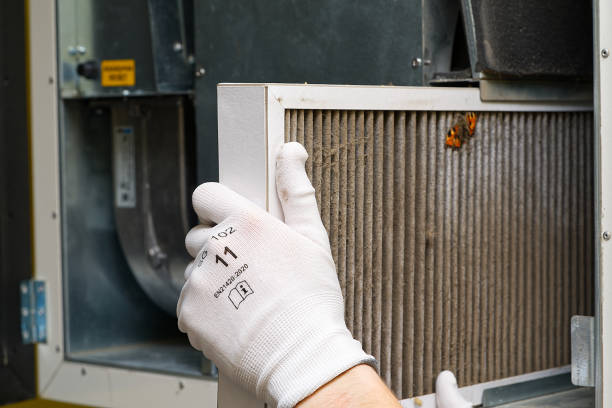 Best Affordable Air Duct Cleaning  in Shannon, MS